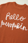 Hello Pumpkin Textured Sweater