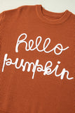 Hello Pumpkin Textured Sweater