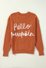 Hello Pumpkin Textured Sweater