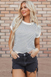 Blue Stripe Knit Top
