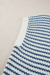 Blue Stripe Knit Top