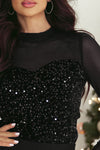 Sequin Velvet Sheer Mock Neck Blouse