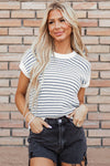 Blue Stripe Knit Top
